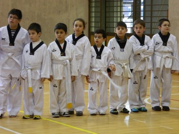 Foto Noticia Encuentro Taekwondo