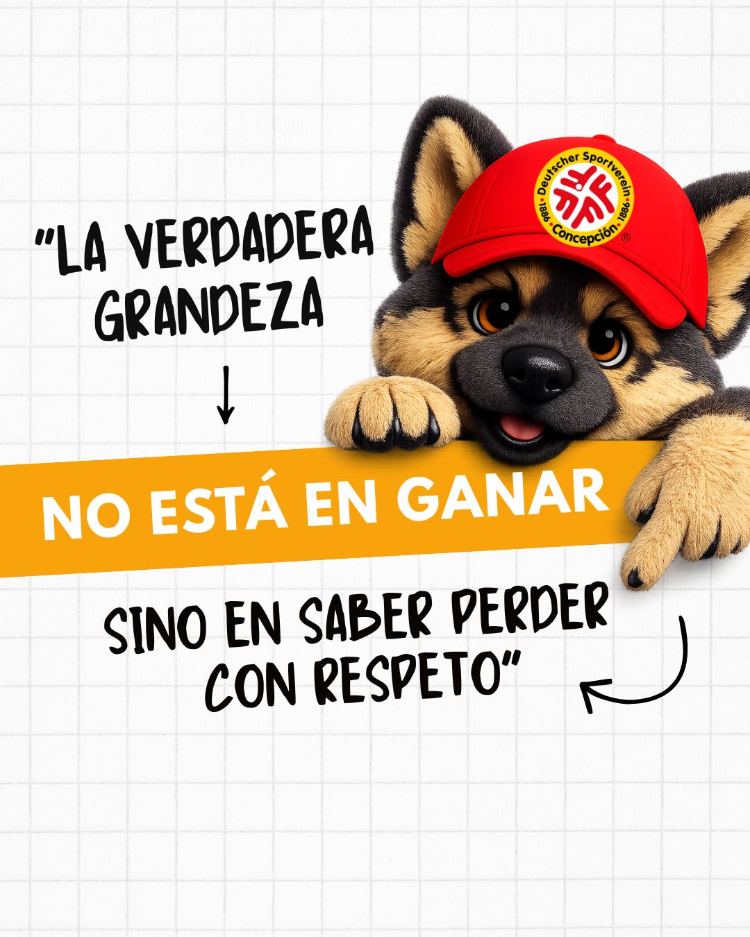 MENSAJE FINAL.jpg